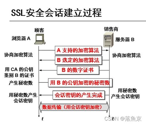 網(wǎng)絡(luò)安全與認(rèn)證技術(shù)總復(fù)習(xí) 網(wǎng)絡(luò)技術(shù)開發(fā)關(guān)鍵要點(diǎn)